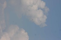 Thumbs/tn_Img_6792.jpg
