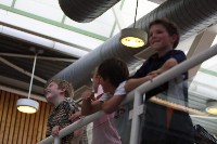 Thumbs/tn_Img_6816.jpg