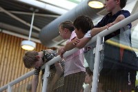 Thumbs/tn_Img_6818.jpg